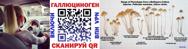 Псилоцибиновые грибы прущие грибы  Купить  Рошаль 